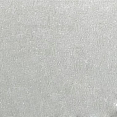 RAL 9007
